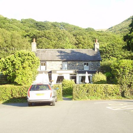 The Dolgoch Bed & Breakfast Bryn-crug Dış mekan fotoğraf